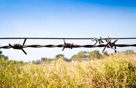 barbed wire fence blocking the meadow with blue skyの写真素材