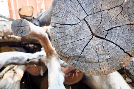 Timber in the factory with vintage colorの写真素材