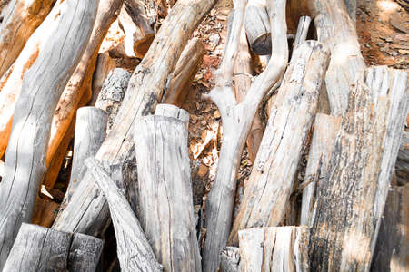 Timber in the factory with vintage colorの写真素材