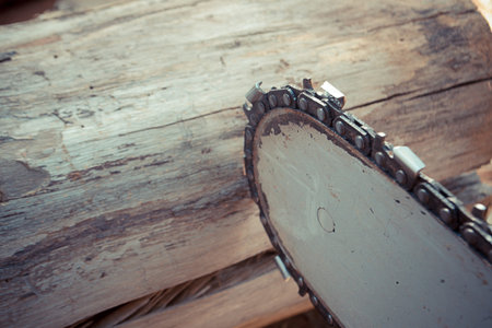 carpenter use Saw blade for cutting timber