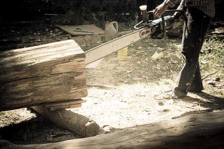 carpenter use Saw blade for cutting timber