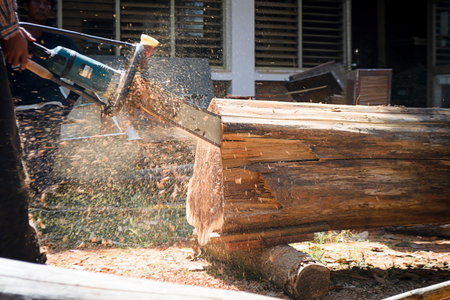 carpenter use Saw blade for cutting timber