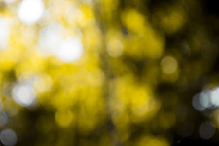 bokeh leaf of nature background with vintage color toneの写真素材