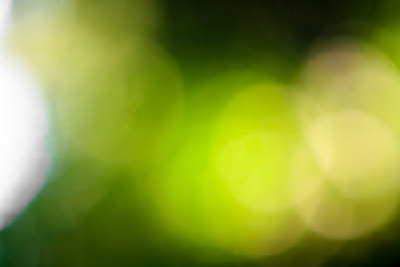 bokeh leaf of nature background with green light color tone