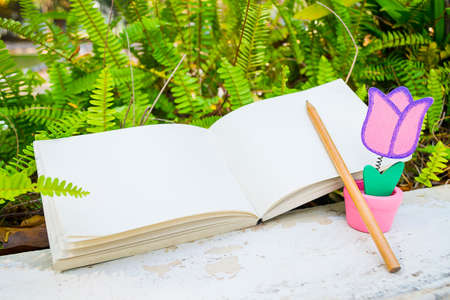 love letter on grass and diary in valentine day with vintage color toneの写真素材