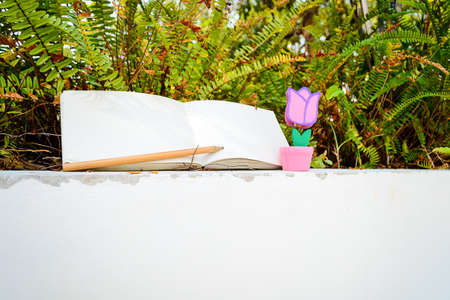 love letter on grass and diary in valentine day with vintage color toneの写真素材