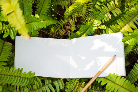 love letter on grass and diary in valentine day with vintage color toneの写真素材