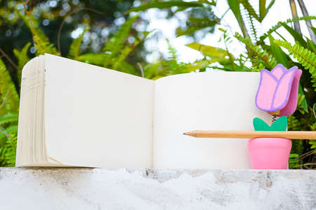 love letter on grass and diary in valentine day with vintage color toneの写真素材