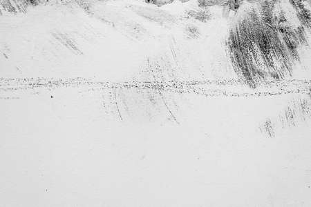 abstract of white wall concrete with plant in natureの写真素材