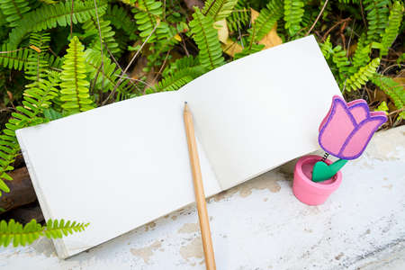 love letter on grass and diary in valentine day with vintage color toneの写真素材