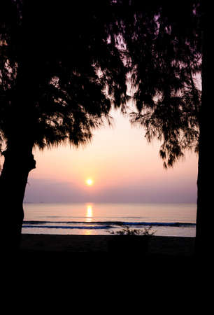 silhouette of trees and wave on the beach with sunset in the seaの写真素材