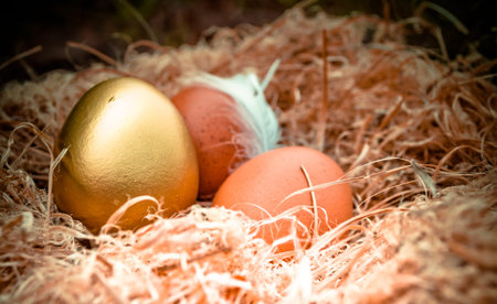 golden egg in nest on easter day with vintage color toneの写真素材