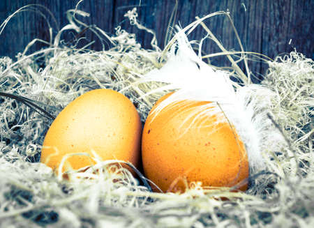 golden egg in nest on easter day with vintage color toneの写真素材