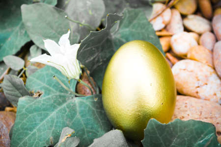golden egg in nest on easter day with vintage color toneの写真素材