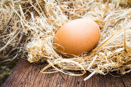 golden egg in nest on easter day with vintage color toneの写真素材