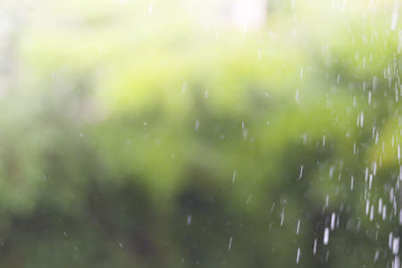 abstract blur and soft focus of rainy day backgroundの写真素材