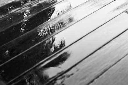 Wet wood floors with vintage color tone for texture and backgroundの写真素材