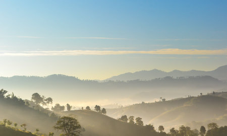 Landscape of mountain and clouds with morning light