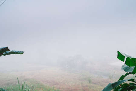 Landscape of forest and mountains among mistの写真素材