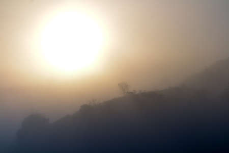 Landscape of forest and mountains among mistの写真素材