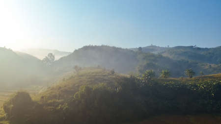 Landscape of forest and mountains among mistの写真素材