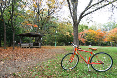 Bicycle in Autumn season  Maruyama Park at  Hokkaido Japanの写真素材