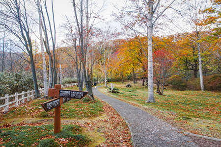 Autumn season at noboribetsu volcano in Hokkaido Japanの写真素材