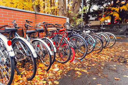 Bicycle in Autumn season with tree and leaves in Japanの写真素材