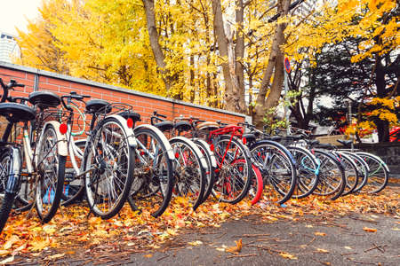 Bicycle in Autumn season with tree and leaves in Japanの写真素材