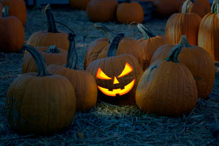 Halloween Pumpkins in the  yard at night.の写真素材