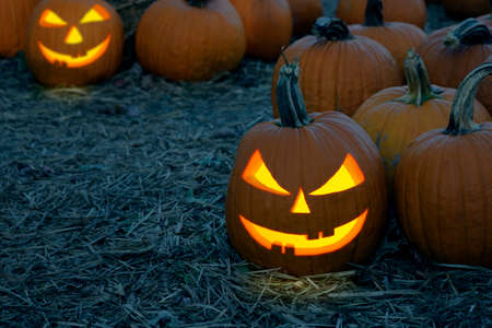 Halloween Pumpkins in the  yard at night.の写真素材