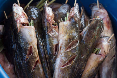 Catfish spice mix for grillingの写真素材