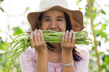 A woman holds yard long bean.の写真素材