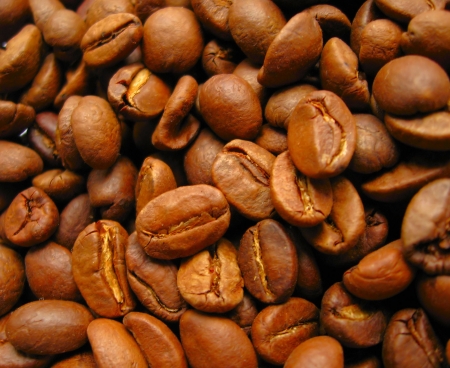 Coffe beansの写真素材