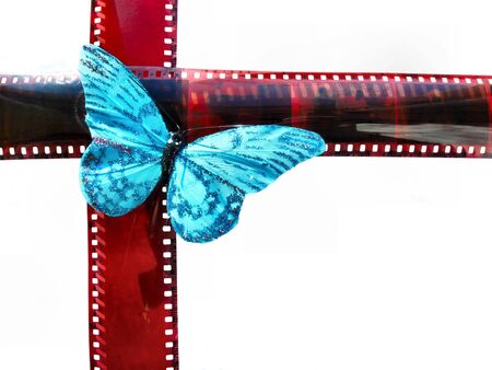 Blue butterfly sits on filmの写真素材