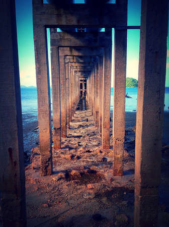 Under bridge on the beachの素材