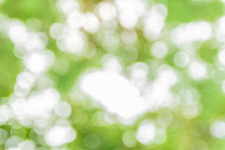 Photo beautiful bokeh background.の写真素材