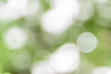 Photo beautiful bokeh background.の写真素材