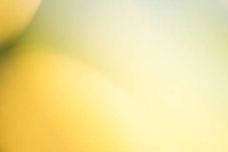 Background colorの写真素材