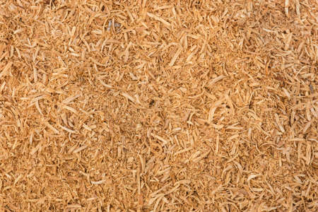 Scrap wood dustの写真素材