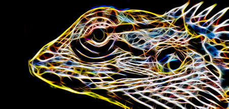 Graphics glowの写真素材