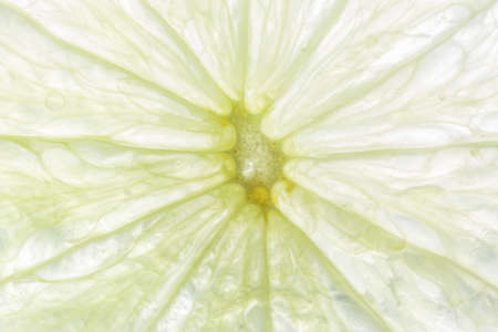 Lemon close upの写真素材