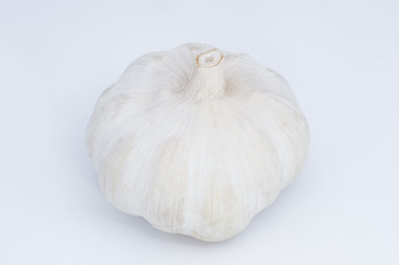Isolated Garlicの写真素材
