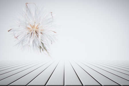 Scenes  Wood Floor Platesの写真素材