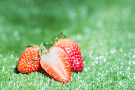 Strawberry green backgroundの写真素材