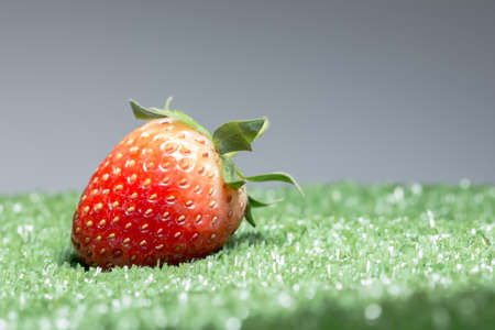 Strawberry green backgroundの写真素材