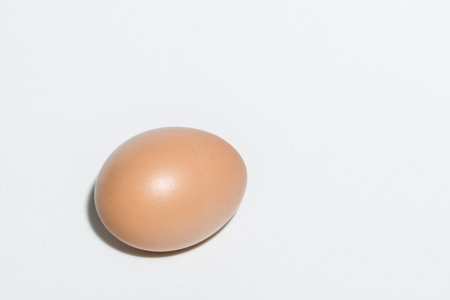 Chicken egg / white background