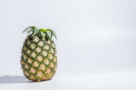 Pineapple White Backgroundの写真素材