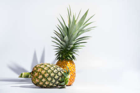Pineapple White Backgroundの写真素材