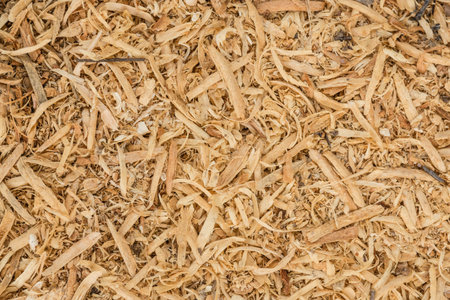 Scrap wood dust